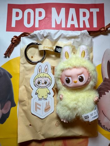 Labubu The Monsters Pin For Love F Futur