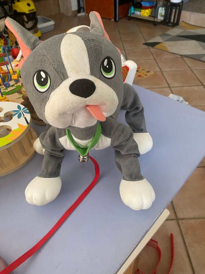 Chien à balader