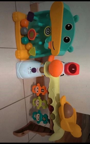 Zèbre multi activités