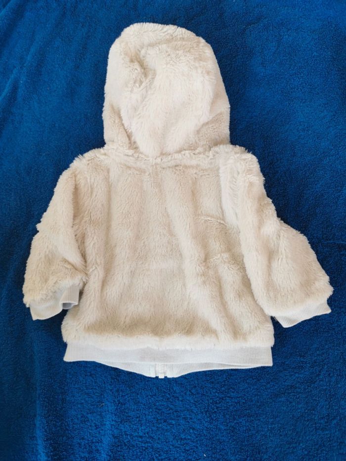 Veste - photo numéro 3