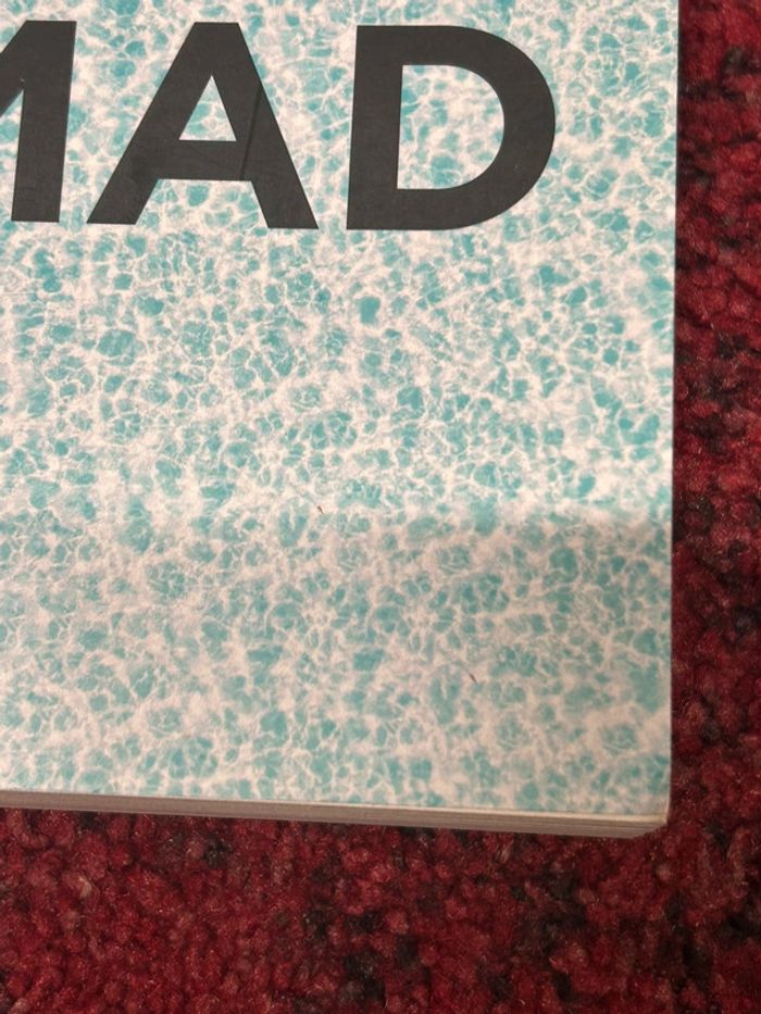 Livre mad de Chioé Esposito - photo numéro 2