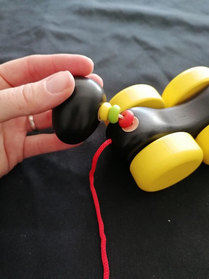 Fourmis - photo numéro 2