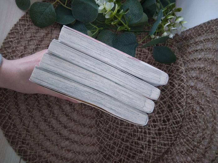 Pas de -50%🌸Mangas shojos Héroïne malgre moi intégrale 🌸 - photo numéro 5