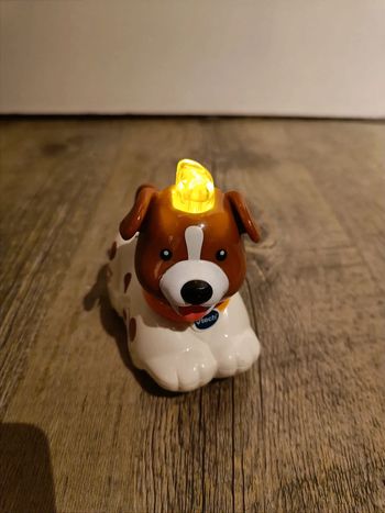 Toutou le chien tout fou