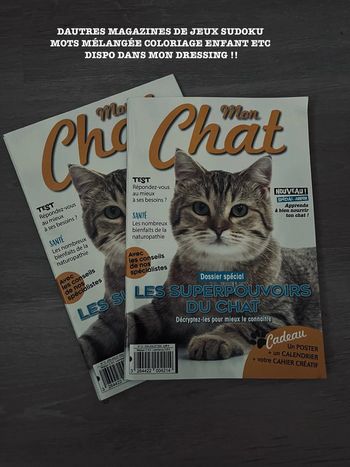 Magazine chat