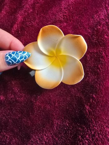 Pince à cheveux fleurs d'hibiscus neuf