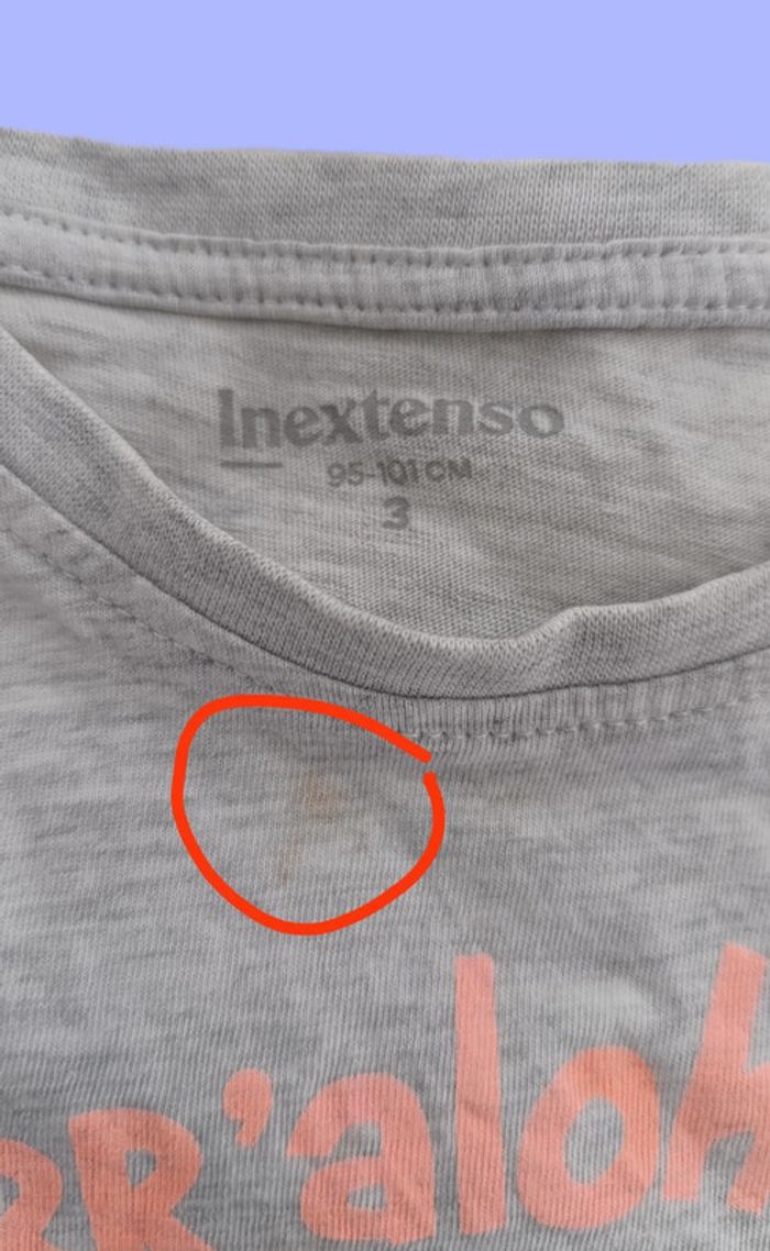 Tee shirt dinosaure. 3 Ans. In extenso. - photo numéro 6