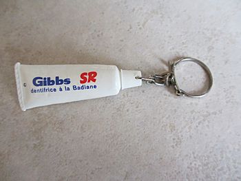 Porte-clés vintage dentifrice à la badiane Gibbs SR – Années 1960-1970