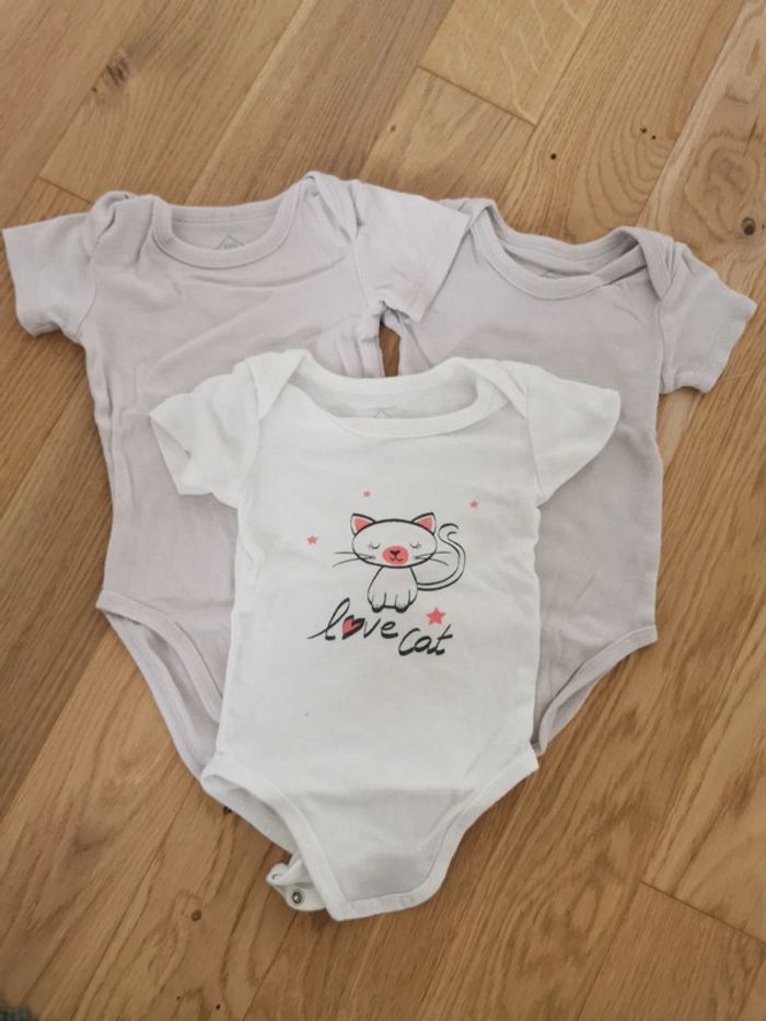 Lot de 3 bodies TEX 12 mois