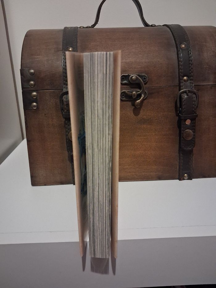 Manga Frieren tome 13 collector édition limitée jaquette alternative librairie - photo numéro 4