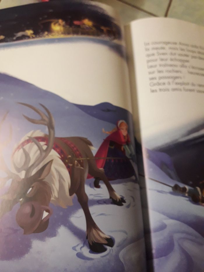 La reine des neiges - photo numéro 2