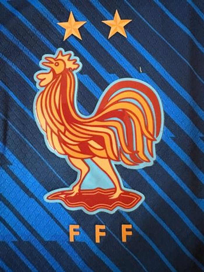 Maillot France 2026 - photo numéro 2