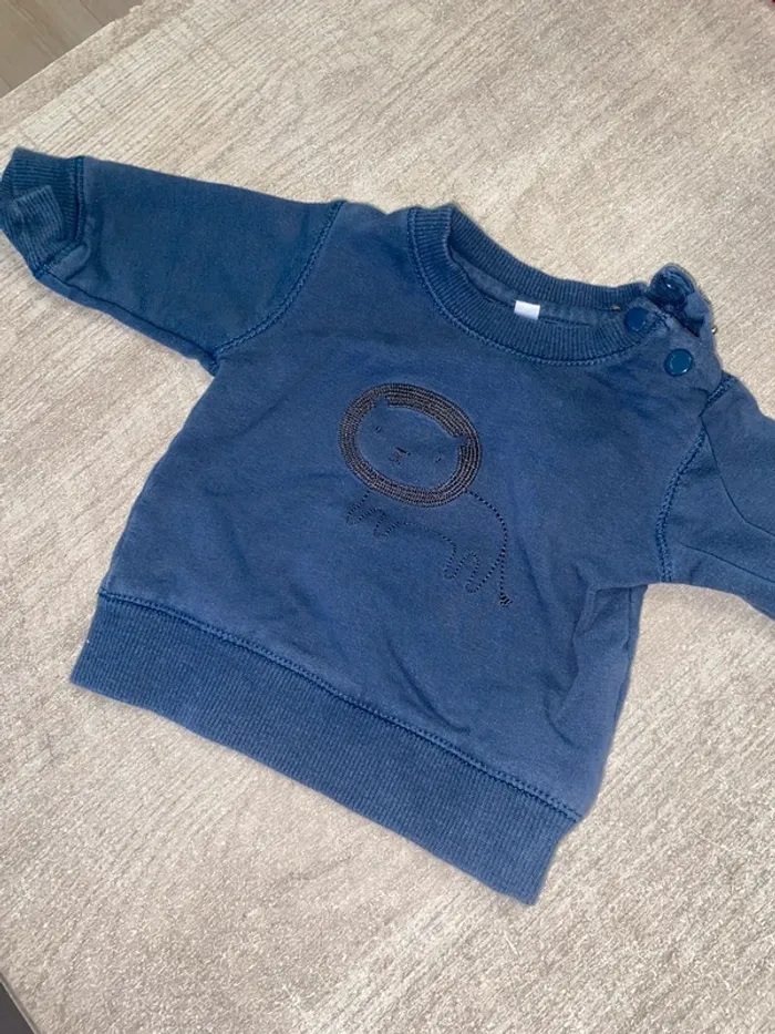Sweat bleu sans marque (lion brodé) - photo numéro 2