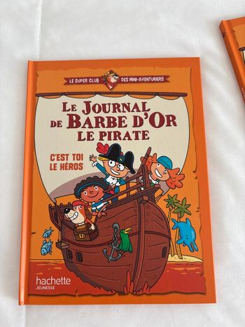 Livre : le journal de Barbe d’or le pirate