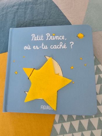 Livre petit prince 