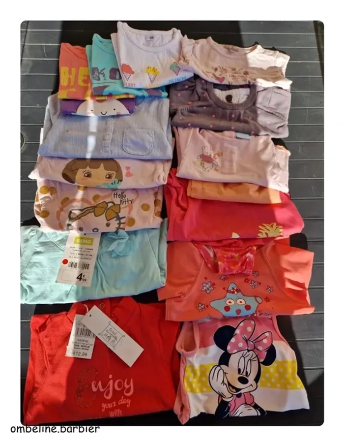 Lot de 17 pièces 6 mois fille