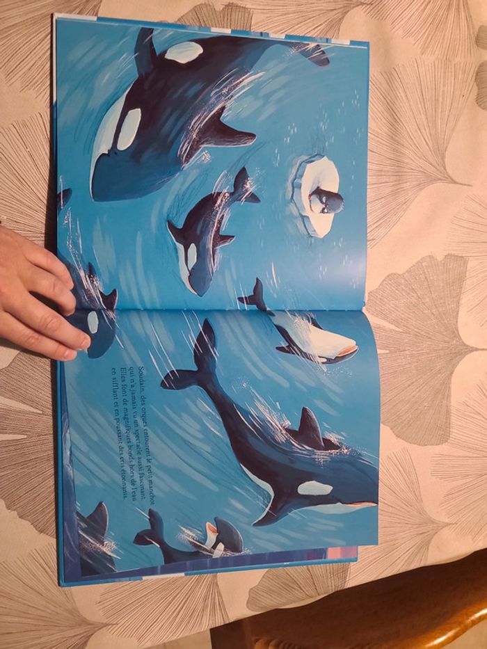 Livre le petit manchot - photo numéro 5