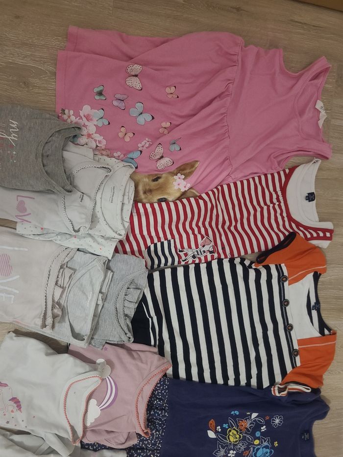 Lot vetement 6 ans 7 ans - photo numéro 3