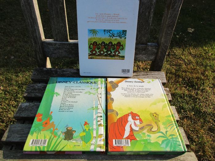 3 livres de 110 pages walt disney - photo numéro 4