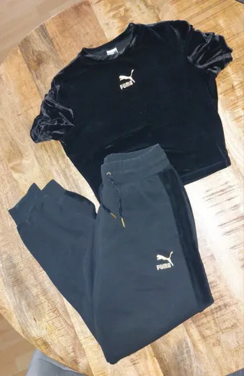 Ensemble de training Puma