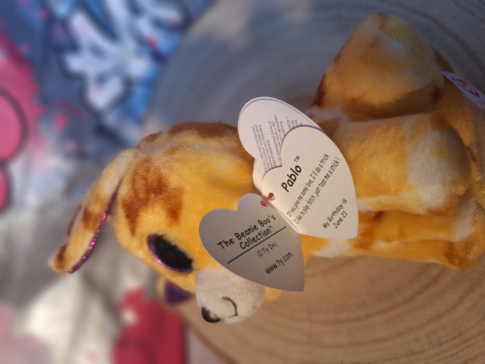 Peluche de collection Ty Beanie Boos PABLO Chihuahua 2015 - photo numéro 8