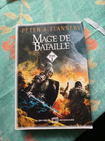 Mage de bataille
