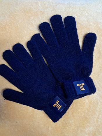 Paire de gants Torrente