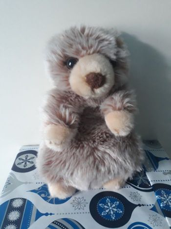Peluche marmotte