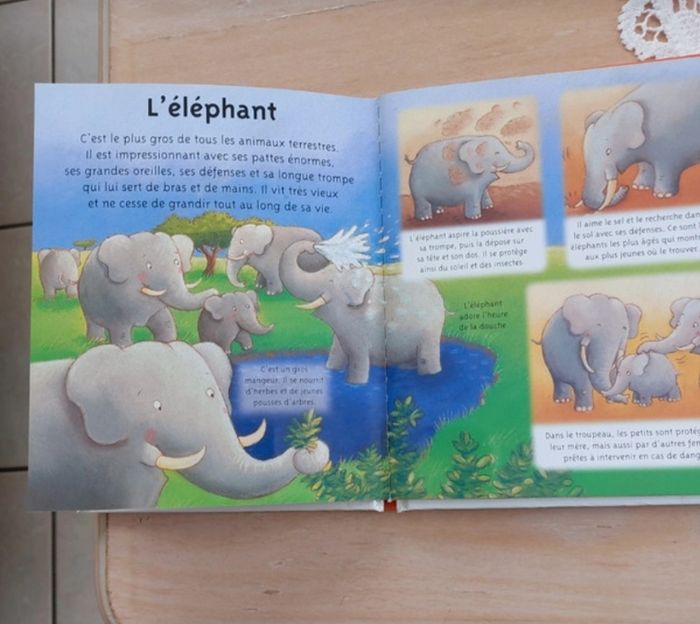 La savane - photo numéro 3