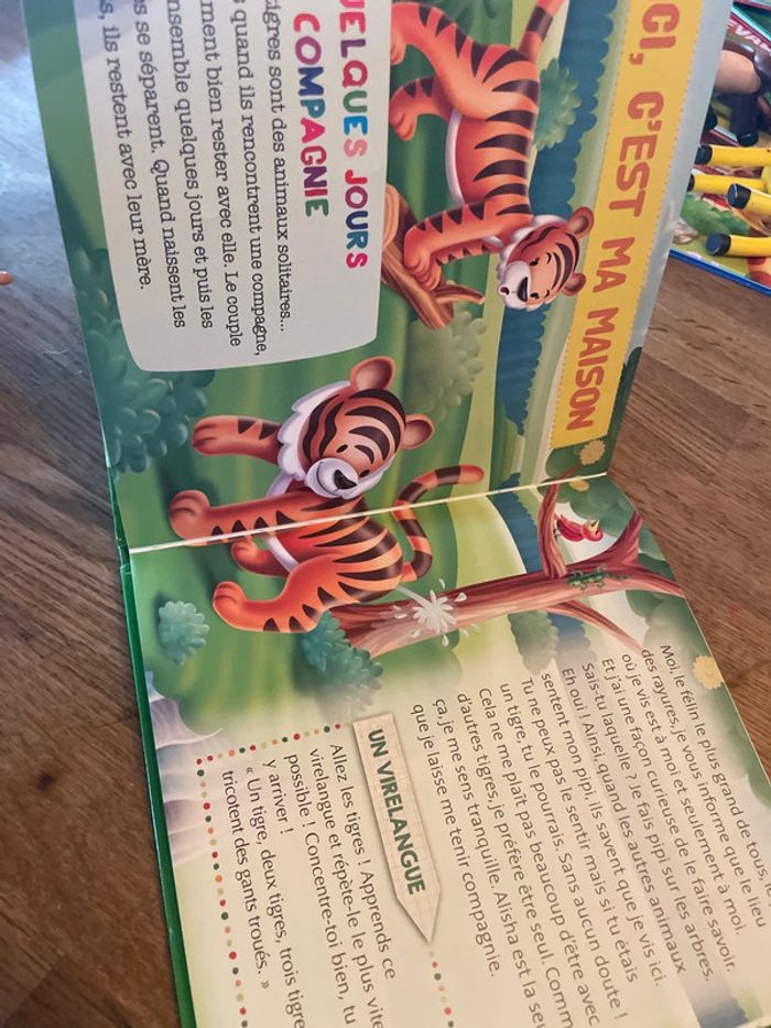 Livre collection Les animaux du zoo Sayan le tigre avec une figurine tigre - photo numéro 10