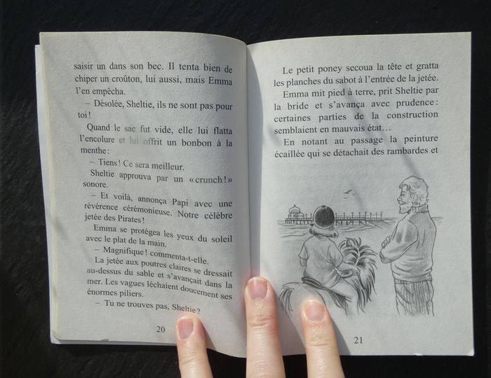 Livre "Sheltie et les pirates" - photo numéro 2