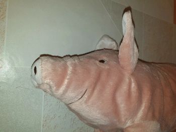 Cochon  🐷 🐽 Peluche