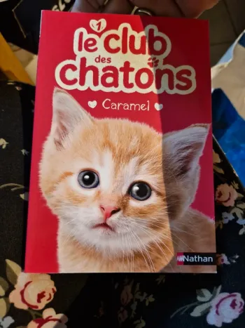 Le club des chatons caramel