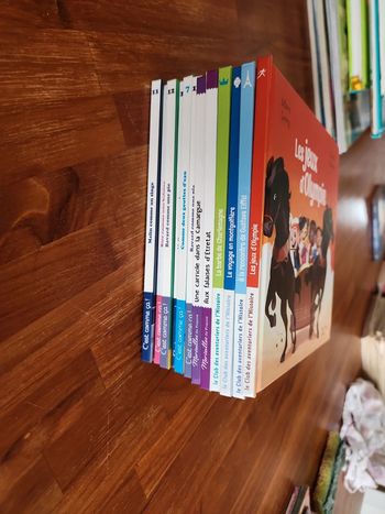 Lot de 12 livres enfant