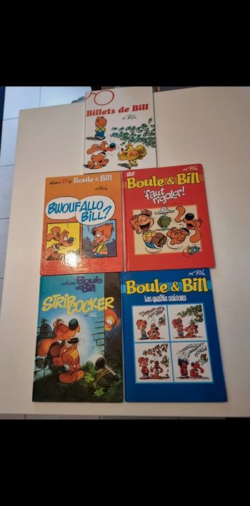 Livre Boule et Bill