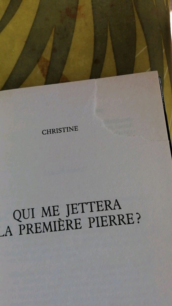 Qui me jettera la première pierre ? - photo numéro 4