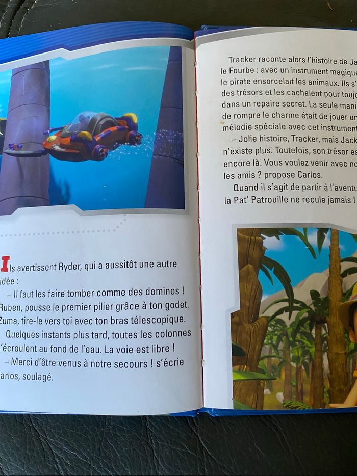 Les chiens pirates à la rescousse pat patrouille - photo numéro 3