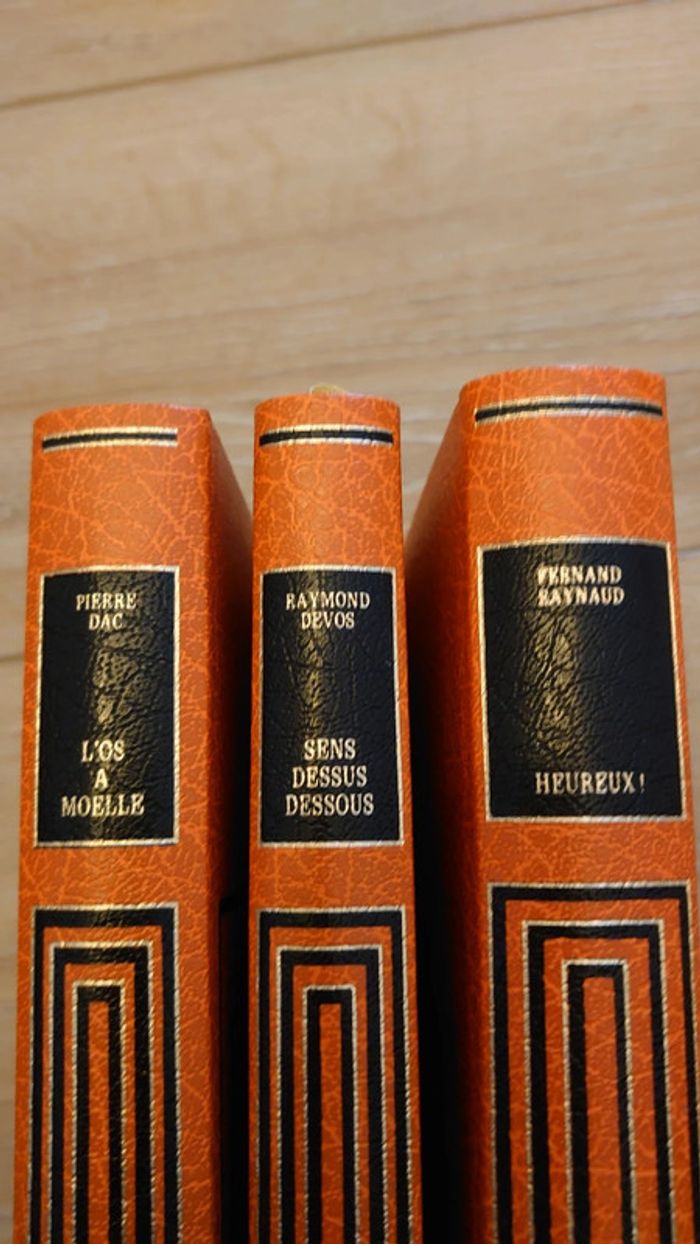 3 livres editions famot. Heureux  + L'os à moelle + Sens dessus dessous - photo numéro 8