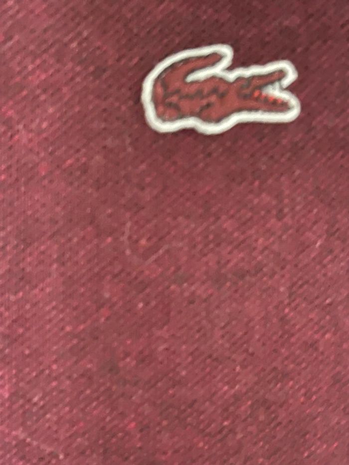 Polo Lacoste - photo numéro 3