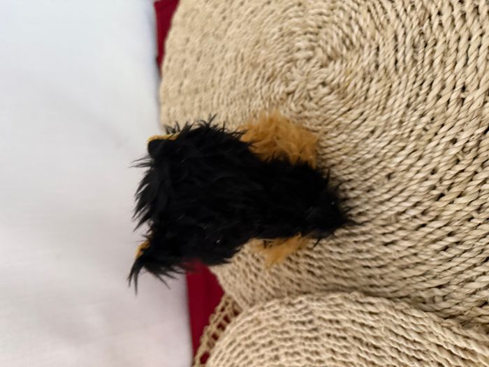Peluche KD Kids Rescue Runts Berger allemand - photo numéro 4