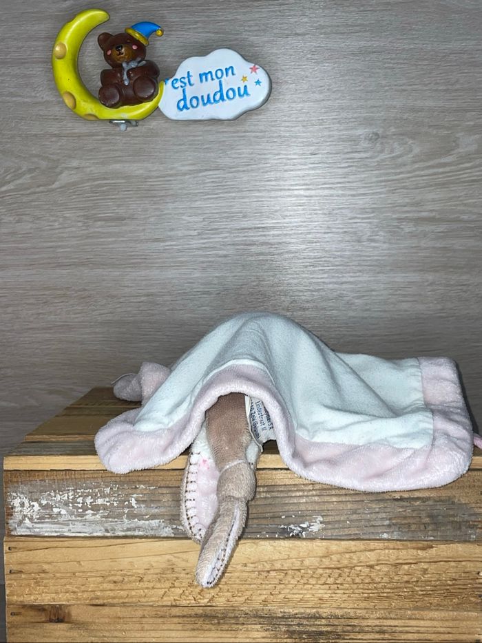 NT201 doudou lapin 🐰 nattou - photo numéro 2