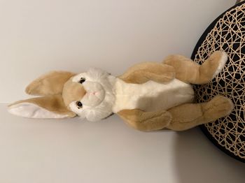 peluche lapin lièvre  anima