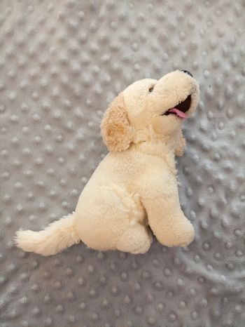Peluche chien