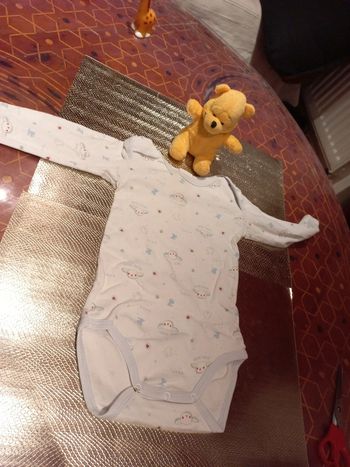 Body coton garçon 12 mois