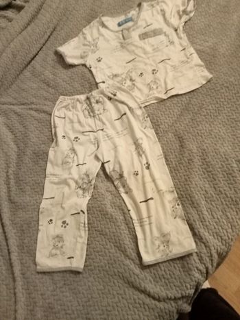 Pyjama chien