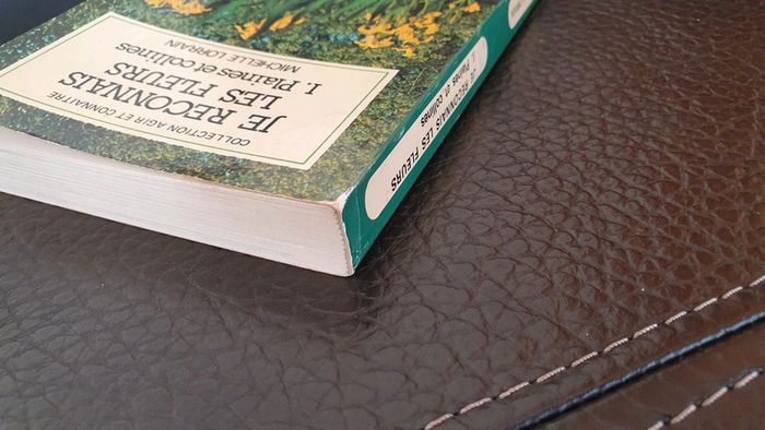 Livre " Je reconnais les fleurs, plaines et collines, de Michelle Lorrain. - photo numéro 4