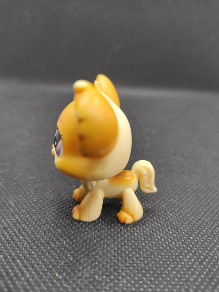 Littlest Petshop LPS dog chien papillon 96 chihuahua hasbro #geektradelpschien - photo numéro 5