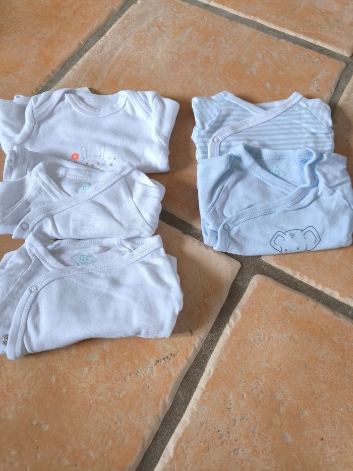 Lot body tex