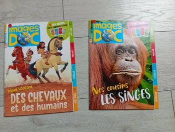 livres enfant