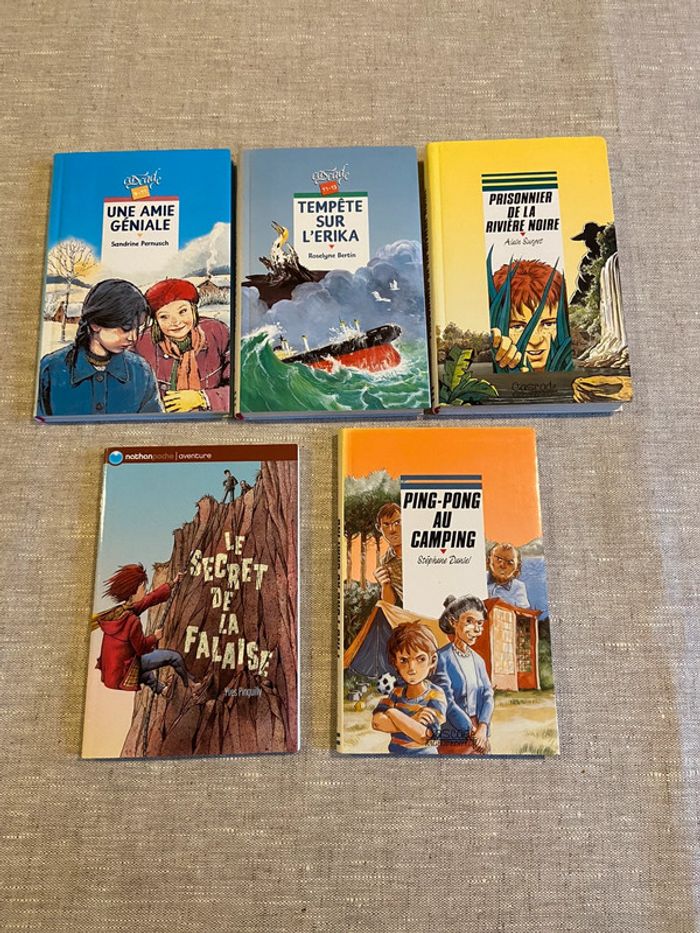 Lot de cinq romans jeunesse lecteurs 10/12 ans